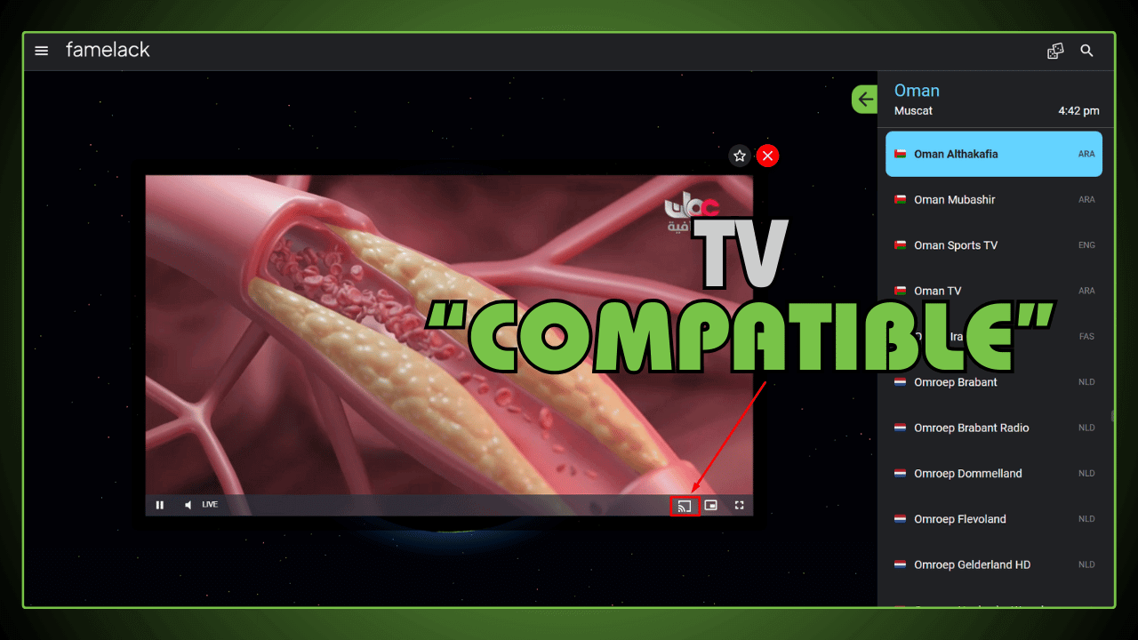 TV Compatible